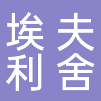 埃夫利舍公司